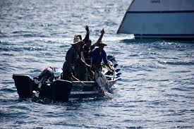 Predicción para los municipios españoles: Overwhelming First Encounter With Orcas