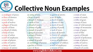 Http Englishstudyhere Com Nouns Collective Noun Examples Collective Nouns Nouns English Study