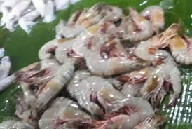 Tempat makan seafood di bali | rumah makan belum punya nama. Theindonesiaadventure Com Kuliner