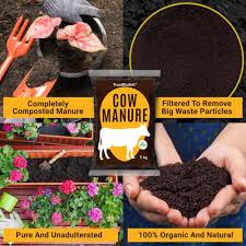 A 5 gallon bucket holds about 25 lbs of fresh manure or compost, so you can estimate how much to use without actually weighing the materials. Buy Cow Dung Manure Fertilizers For Plants 10 Kg Online In Kerala India