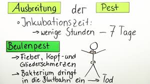 Auch heute ist die pest noch nicht besiegt, obwohl immer mehr menschen infizieren sich auf madagaskar mit der lebensgefährlichen lungenpest. Pest Und Cholera Erklarung Ubungen