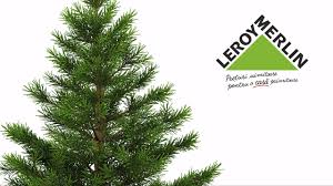 Последние твиты от leroy merlin (@leroymerlinfr). CumpÄƒrÄƒ Bradul Natural De CrÄƒciun Leroy Merlin Romania