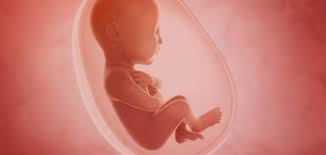 بماذا تشعرين عند نزول ماء الولادة وما هو شكل ماء الجنين بالصور مختلفون