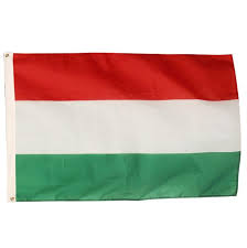 Bandeira oficial fabricada em processo de estampa digital de alta resolução, tecido euroflag 100% poliéster composto por fio brilhoso de alta resistência que. Compre Bandeira De Hungria 90x150cm Bandeira Nacional Hungaro Mundial Pais Bandeira 3x5 Ft Branco Vermelho Verde Poliester Suspensao Voo Indoor Uso Ao Ar Livre De Wfronn 24 23 Pt Dhgate Com