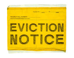 Check spelling or type a new query. Evictions In Brevard On Pause But Some Landlords Still Want Tenants Out