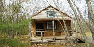 Small Cabin For Sale For Only 17k House In The Woods Tiny House Swoon Cabins In The Woods