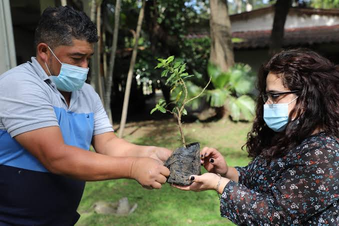 Guatemala es el epicentro del cuidado ambiental - Ministerio de Ambiente y  Recursos Naturales