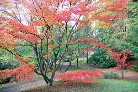 Forstbotanischer Garten Eberswalde Wandelbar Transition Town Initiative