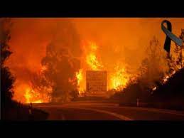 Check spelling or type a new query. Incendio Pedrogao Grande Imagens E Videos Youtube