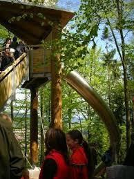 Treetop Path Giant Slide Ausflug Rutsche Ausflugsziele