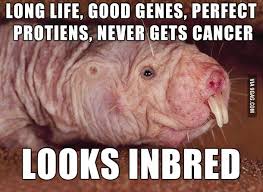 Pin On Hilarious Stuff