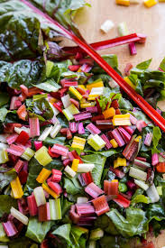 Five Color Silverbeet Swiss Chard Chard Swiss Chard Rainbow Chard