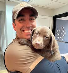 Freya is the new office dogs! Traverse city, mi