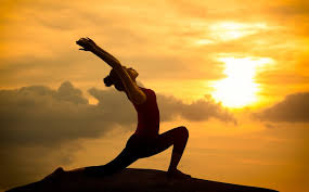 Sun salutation yoga or surya namaskar yoga is important and powerful among all the asanas. 12 Steps Of Surya Namaskar Dr Workout