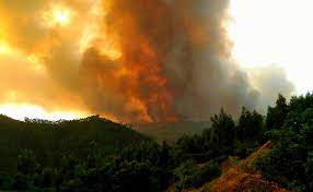 Ruta incendio monchique de tren en mata porcas, faro (portugal). Fortes Reativacoes No Incendio De Monchique Tomam Grandes Proporcoes