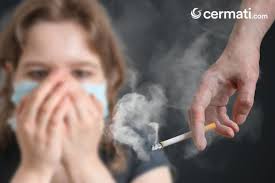 We did not find results for: Perokok Pasif Lebih Berbahaya Ini Dampaknya Bagi Kesehatan Cermati Com