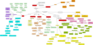 Statistics Concept Map Concept Map Concept Mind Map