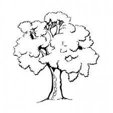 Plus, it's an easy way to celebrate each season or special holidays. Trees Free Printable Coloring Pages For Kids