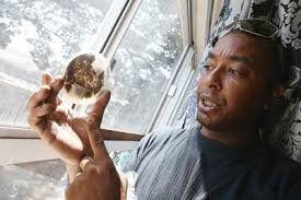 Extra cash for SF public housing won't fix vacancy issue, substandard  conditions