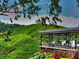 Ladang teh boh sungai palas. Pakej Cameron Highlands 3 Hari 2 Malam Popular