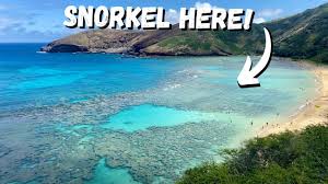Maybe you would like to learn more about one of these? Hanauma Bay The Best Hawaii Beach For Snorkeling Everything You Need To Know To Go Youtube