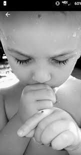 Early Sunday morning Cardinal in College Station