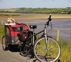 Hvis ankomst er innen 1 uke, vil beløpet bli innhentet umiddelbart. Biketrail Cycle Shop Cycle Hire Fremington 2021 All You Need To Know Before You Go With Photos Tripadvisor