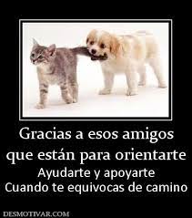 Desmotivaciones Gracias a esos amigos que están para orientarte Ayudarte y  apoyarte Cuando te equivocas de camino