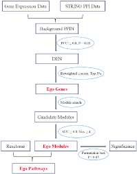 Flow Chart For Identification Of Ego Genes Modules And