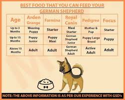 Vaccinations for dogs are an essential step in keeping your dog healthy and also ensuring that diseases do not get transferred over. How To Feed Royal Canin Maxi Starter To A Puppy Feeding Guide