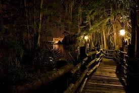 Discovery island may refer to: Disney S Discovery Island Bay Lake Fl Discovery Island Disney Discovery Island Disney World Parks