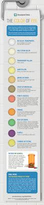 What The Color Of Your Pee Says About You Cleveland Clinic How To Stay Healthy Body Health