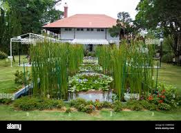 David Brown's Restaurant and Tea Terraces, Strawberry Hill, Penang Hill  Penang, Malaysia Stock Photo