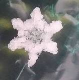 Graupel - Wikipedia