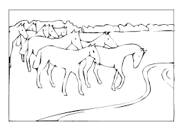 Wild horse coloring pages printable. Free Horse Coloring Pages