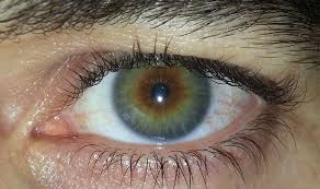 Eye Color Blue Hazel Eyes Hazel Eyes Aesthetic Eyes