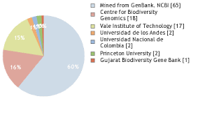 Image result for Bulbostylis trabeculata