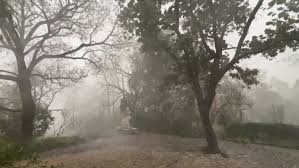 Brisbane Battles Power Outages After Fierce Thunderstorms Hit