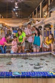 10 Family Friendly Things To Do In Key West With Kids Key West Vacations Travel Key West Key West