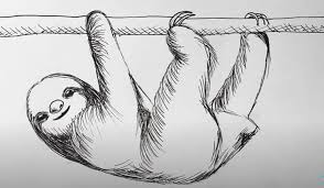 How To Draw A Sloth Step By Step Sloth Drawing Easy Animal Drawings Drawings