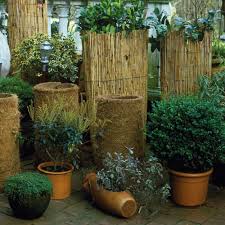 Dauertiefpreise große auswahl 30 tage rückgaberecht. Winterharte Kubelpflanzen Vor Frost Schutzen Manufactum Gartenjahr