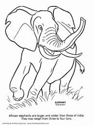 Download 900 Best Animal Coloring Pages Ideas Animal Coloring Pages Coloring Pages Animal Coloring Books