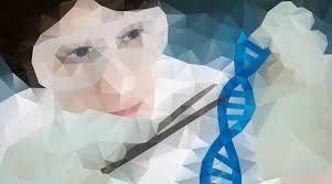 Which of these best describes a transgenic organism? What Is Genetic Engineering Facts Yourgenome Org