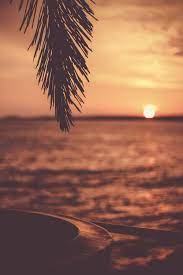 Choose from hundreds of free sunset backgrounds. 20 Sunset Images Stunning Download Free Images On Unsplash
