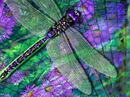 Black And Purple Dragonfly Dragonfly Dragonfly Dragonfly Art Damselfly