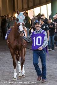Countertops, faucets, sinks, toilets, cabinets, saunas, hot tubs 8 My Dad Is California Chrome Ideas California Chrome Foals Chrome