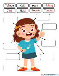 Anggota badan saya (parts of my body). Anggota Badan Saya Interactive Activity