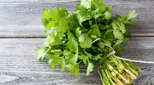 Rupanya ini karena khasiat sehat daun ketumbar, meski aromanya tajam. Pereda Nyeri Hingga Anti Kanker Ini Manfaat Daun Ketumbar Untuk Kesehatan Lifestyle Fimela Com