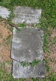 I Dig My Roots and Branches: May 2016