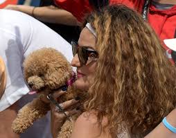Bianca andreescu from canada is the young tennis powerhouse blazing a trail at the 2019 u.s. In Bianca Andreescu S Box A Four Legged Fan Is The Star The New York Times